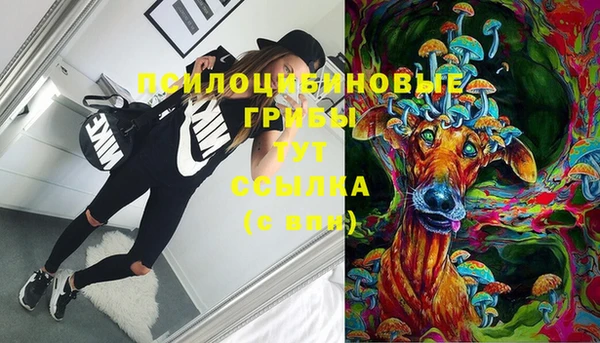 PSILOCYBIN Алексин